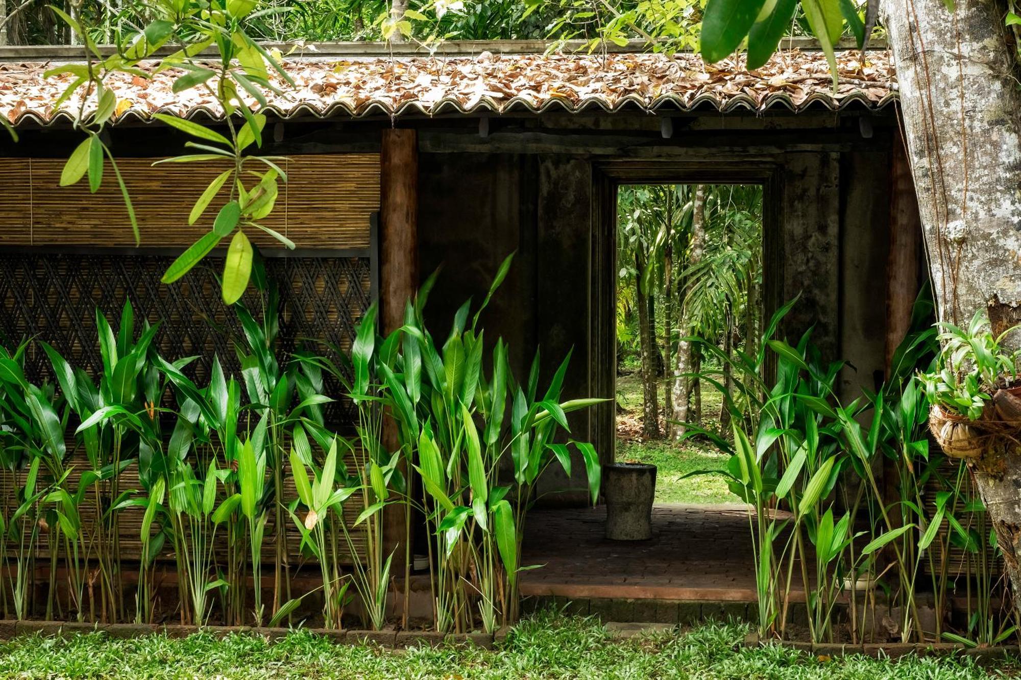 Nisala Arana Boutique Hotel Bentota Exterior photo